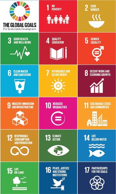 Sustainable Development Goals - Academy for Systems Change